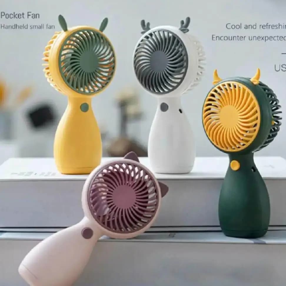 Rechargeable fan